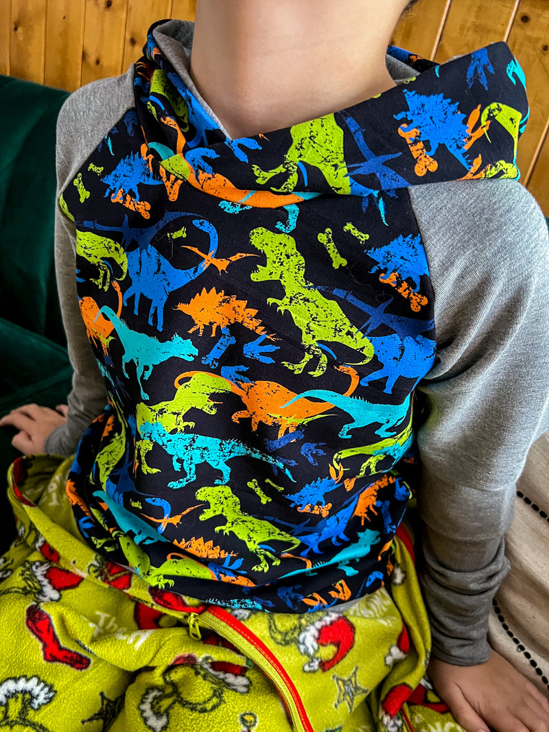 Hoodie Charlie - Dinosaures multicolores, manches grises